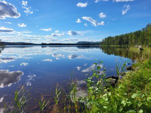 Bild från fototävling, fotograf Birgit Hällgren