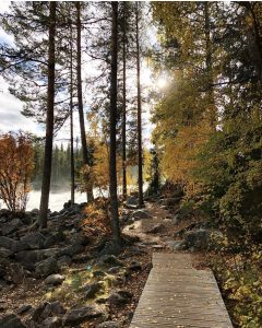 Bild från fototävling, fotograf Johanna Norén.