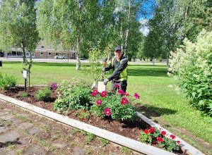 Plantering av träd i Konradsparken.