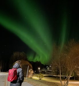 Bild från fototävling, fotograf Mostafa Naser.