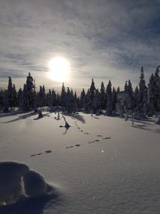 Bild från fototävling, fotograf Per-Erik Sundkvist.